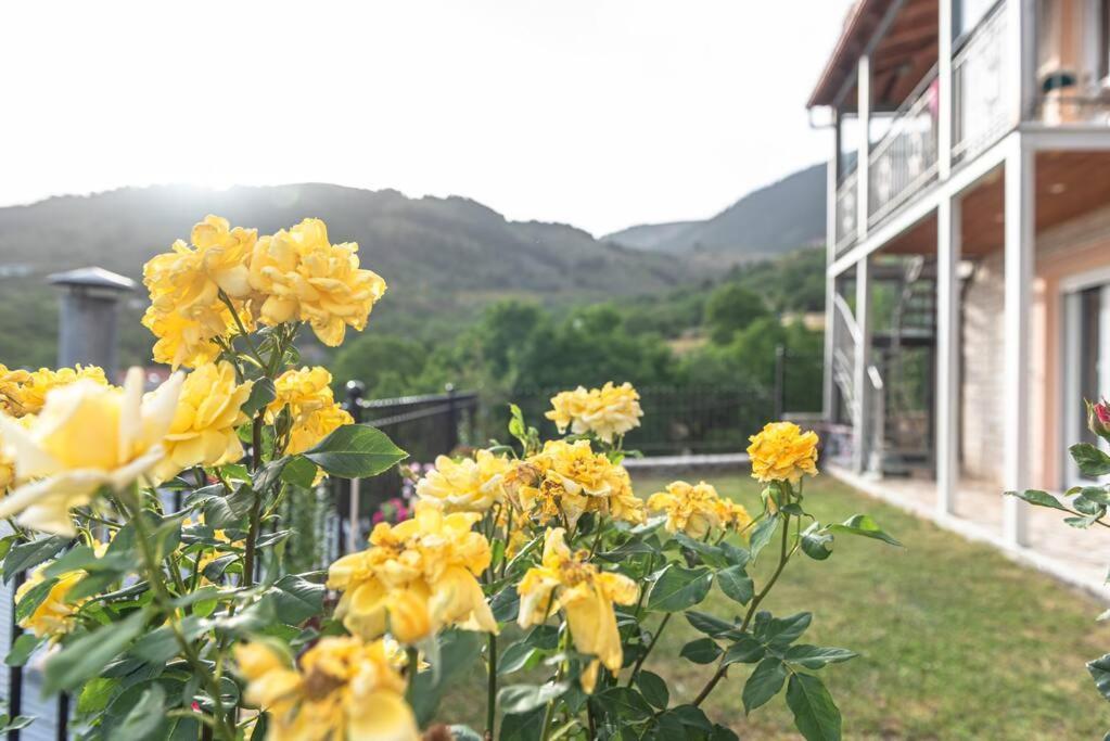 KarpenísionDimitri'S Mountain Houseアパートメント エクステリア 写真